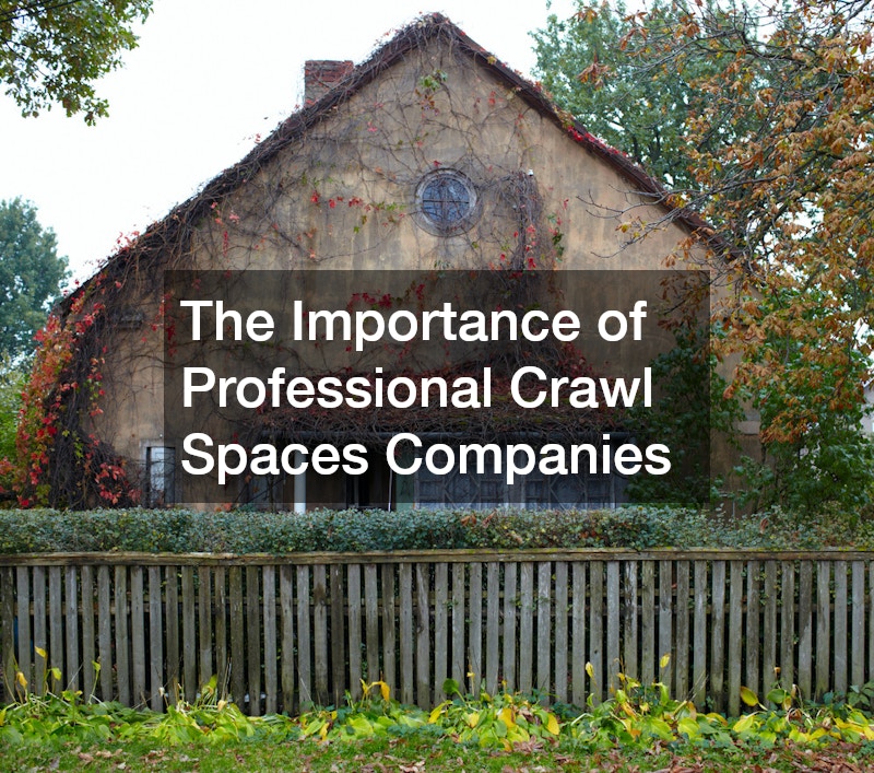 The Importance of Professional Crawl Spaces Companies